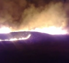 آتش سوزی در مزارع ارم دشتستان مهار شد
