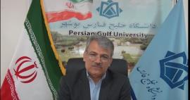 ۱۱۶ مقاله علمی مشترک در دانشگاه خلیج فارس تولید شد