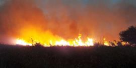 احتمال سهل‌انگاری انسانی در آتش‌سوزی اراضی کشاورزی تنگ‌ارم