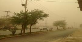 گرد و غبار فردا از فضای استان بوشهر خارج می‌شود