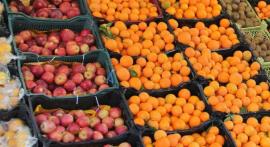 ۵۷۷ تن میوه در ایام نوروز در استان بوشهر توزیع شد