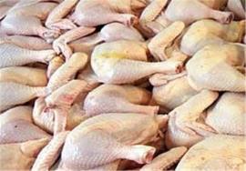قیمت گوشت مرغ در استان بوشهر به ۲۰هزار تومان می رسد