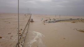 شهروندان بوشهری از تردد در حریم رودخانه‌ها خودداری کنند