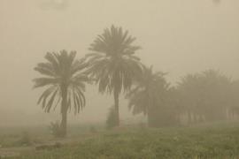 هشدار سطح نارنجی هواشناسی برای استان بوشهر