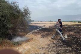  ۱۰۰ هکتار از مراتع کوهستانی دشتستانی در آتش سوخت