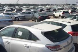 فیلم/ بلاتکلیفی صدها خودروی دپو شده در گمرک بوشهر