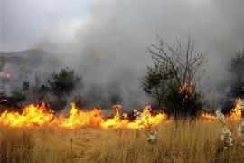 تلاش برای مهار آتش‌سوزی در کوه سیاه همچنان ادامه دارد