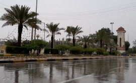 بوشهری‌ها منتظر شنیدن آوای باران هستند