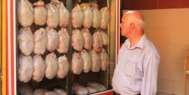 علت گرانی مرغ از زبان رئیس اتاق اصناف بوشهر 