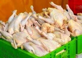 وعده وزارت صمت: قیمت مرغ تا هفته آینده متعادل می‌شود