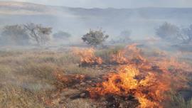 آتش سوزی در مراتع روستای شول مهار شد