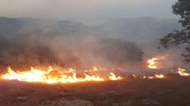 بی احتیاطی استفاده کنندگان از طبیعت عامل آتش سوزی در مراتع کوهستانی/هم استانی ها در صورت مشاهده آتش اطلاع رسانی کنند