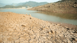 استاندار بوشهر: زنگ خطر خشکسالی به صدا درآمده است