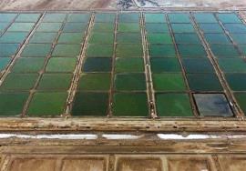 اراضی راکد بخش شیلات از سرمایه‌گذاران غیرفعال بازپس گرفته می‌شود