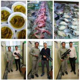 دستگیری باند شکاروصید پرندگان در جم+عکس