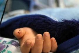ماجرای فوت ناگهانی دانش‌آموز ۹ ساله ایلامی در زمان زنگ تفریح