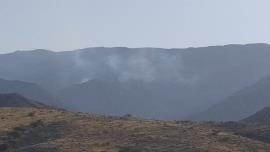 آتش سوزی در ارتفاعات کوه سیاه در دشتستان مهار شد