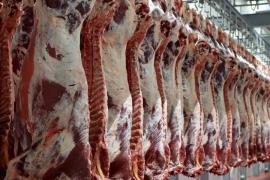 وعده مدیرکل امور اقتصادی استاداری بوشهر: قیمت گوشت قرمز در بوشهر کاهش می یابد