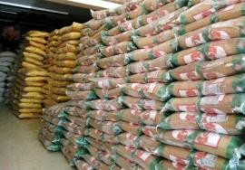 توزیع ۲۴ تن برنج خارجی را با نرخ مصوب در تعاونی مرزی گناوه