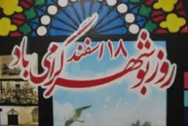 هاشم زاده: برنامه روز بوشهر در خور نام بوشهر و مردم انجام شود