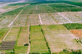 طرح کاداستر اراضی کشاورزی در بوشهر توسط مالکان کنترل می‌شود
