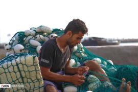 تصاویر/ توربافی ماهیگیران اسکله صیادی عسلویه