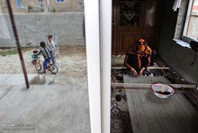 تصاویر/نقش زندگی بر تار و پود فرش ترکمن 