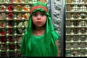 تصاویر/ آئین شیرخوارگان حسینی در امامزاده عبدالمهیمن بوشهر