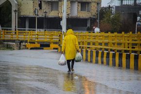  تصاویر/بارش شدید باران در استان بوشهر