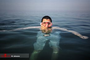 تصاویر/ گرما در بوشهر ، آب تنی در خلیج فارس