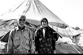 تصاویر/ کوچ عشایر به مناطق قشلاقی استان بوشهر 