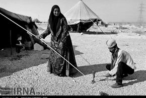 تصاویر/ کوچ عشایر به مناطق قشلاقی استان بوشهر 
