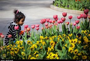 تصاویر/گلهای لاله در پارک شهر تهران