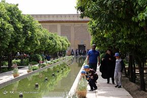 تصاویر/‍‍‍ ارگ کریم خان زند و موزه پارس شیراز 