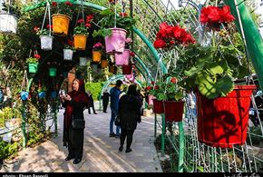 تصاویر/جشنواره لاله ها درکرج