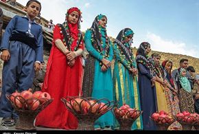 تصاویر/ اولین جشنواره انار هورامان