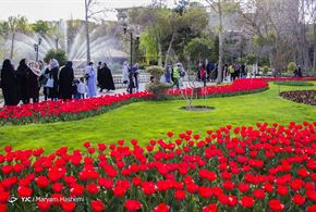 تصاویر/جشنواره لاله‌های کرج