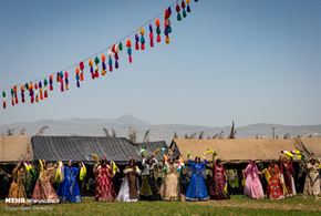 تصاویر/ عروسی سنتی قشقایی در فیروزآباد