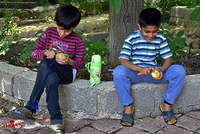اردوی جوانه‌ها - شیراز