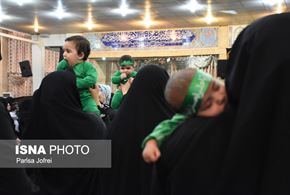 شیرخوارگان مهدوی در بوشهر