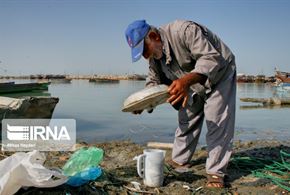 ماهیگیری با مشقل در ساحل بوشهر