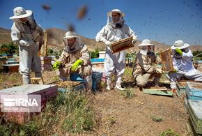 زنبورداری در روستای «خِران»