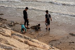 آلودگی‌ زیست محیطی خلیج فارس با ورود فاضلاب ها