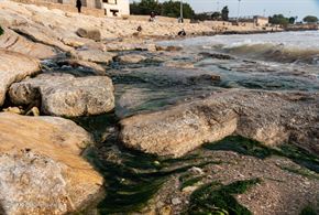 آلودگی‌ زیست محیطی خلیج فارس با ورود فاضلاب ها