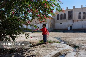 بوشهر؛ کوچه‌های آشتی‌کنان