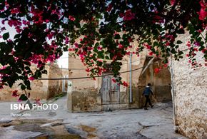 بوشهر؛ کوچه‌های آشتی‌کنان