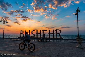 بوشهر، نهنگ پیر خلیج فارس