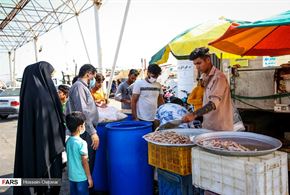 خرید و فروش میگو در اسکله بوشهر