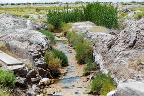 چشمه گمبان ارسنجان