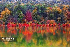 طبیعت مازندران در پاییز هزار رنگ